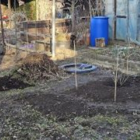 Johannisbeer 2026-02-27 16.55.